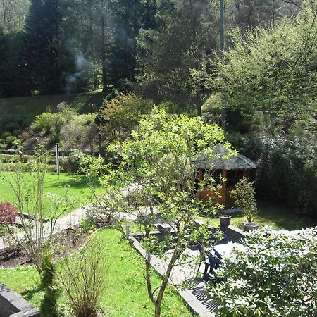 Pension zum Rothaarsteig Netphen Exterior foto